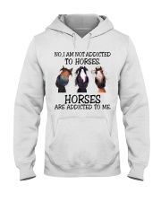 No I Am Not Addicted To Horses Hooded Sweatshirt front