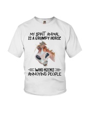 My spirit animal is a grumpy horse Youth T-Shirt tile