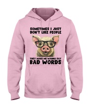 Sometimes I Just Don't Like People Hooded Sweatshirt front