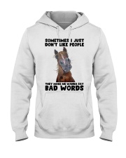 Sometimes I Just Don't Like People Hooded Sweatshirt front