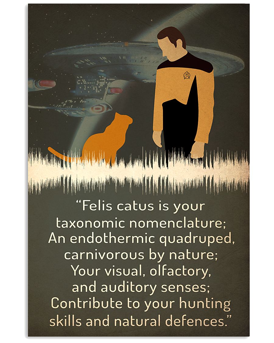 felis catus 24x36 Poster
