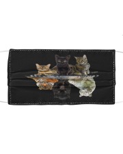 Cats Reflection Gift Friend Cat Lovers Cut Tiger Cloth face mask front