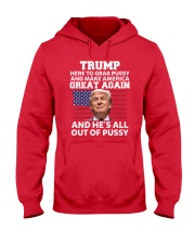 Trump grab-america-by-the-pussy 2017 Hooded Sweatshirt thumbnail