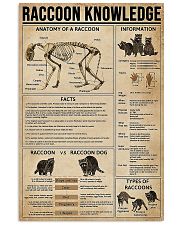Raccoon Knowledge 11x17 Poster front