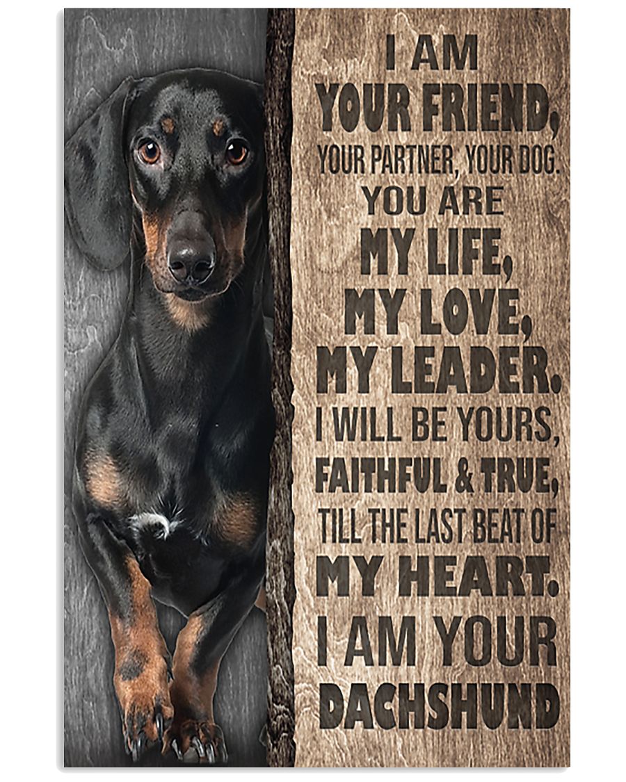 Dachshund - I'm Your Friend 11x17 Poster