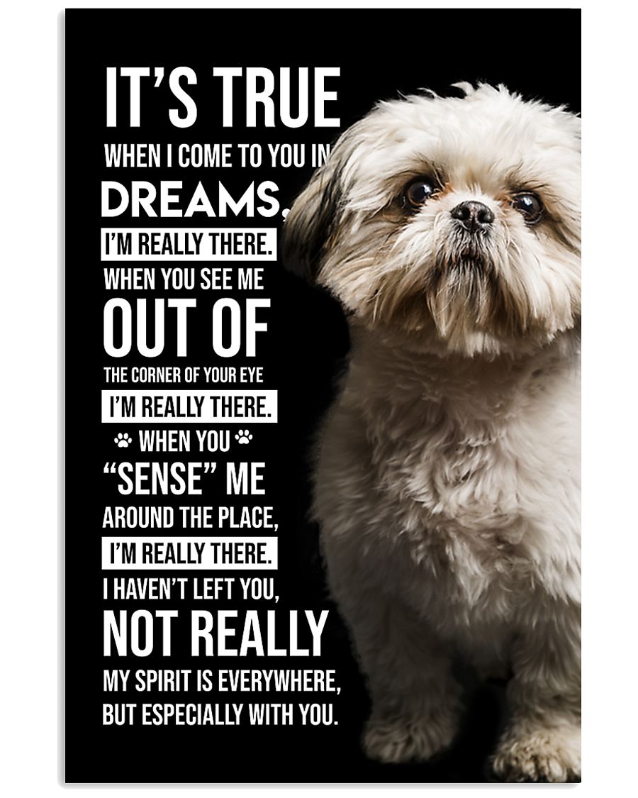 Shih Tzu I'm Really There 11x17 Poster