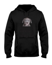 Human Dad American Pit Bull Terrier Hooded Sweatshirt thumbnail
