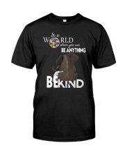 Be Kind Classic T-Shirt front