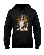 Phoebe - Collie Mom And Babies - 104 Hooded Sweatshirt thumbnail