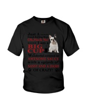 French bulldog Crazy Funny Youth T-Shirt thumbnail