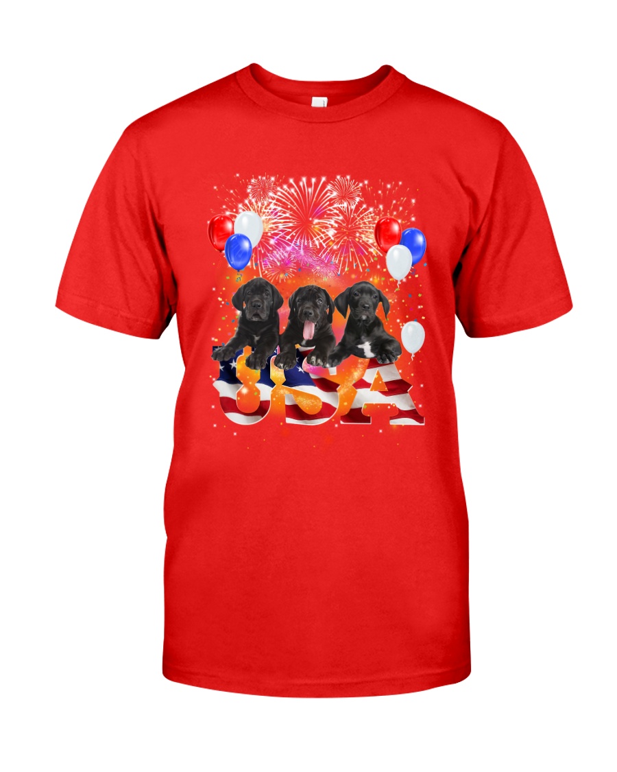 USA Great Dane Classic T-Shirt