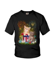 Cat Firework America Youth T-Shirt thumbnail