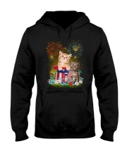Cat Firework America Hooded Sweatshirt thumbnail