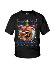 Dachshund Family Xmas Phoebe 018 Youth T-Shirt thumbnail
