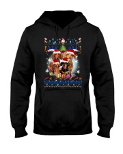 Dachshund Family Xmas Phoebe 018 Hooded Sweatshirt thumbnail