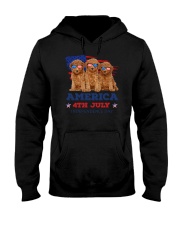 4th July Poodle Hooded Sweatshirt thumbnail
