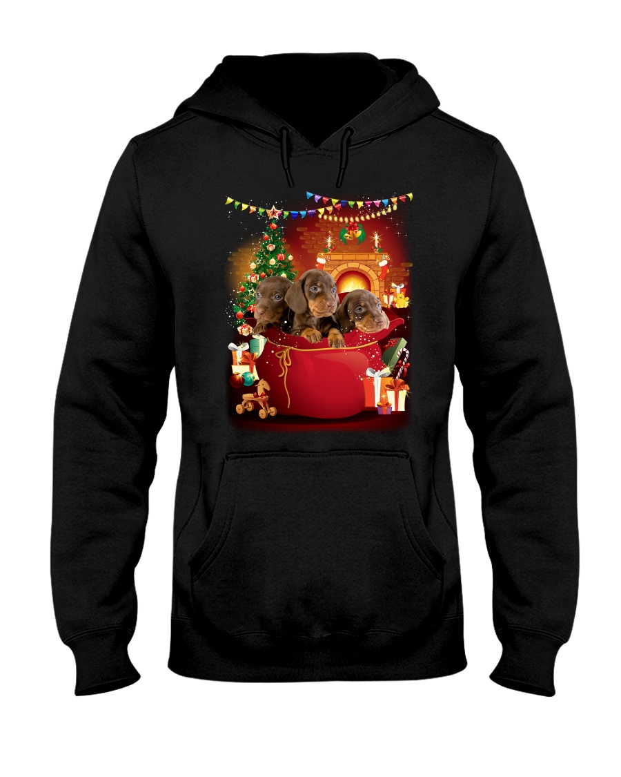 Dachshund Bag Phoebe 018 Hooded Sweatshirt