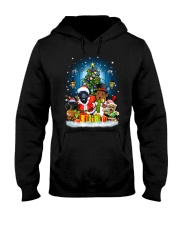 PHOEBE - Poodle - 1111 - C9 Hooded Sweatshirt front