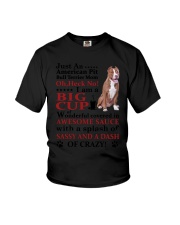 American Pit Bull Terrier Crazy Funny Youth T-Shirt thumbnail