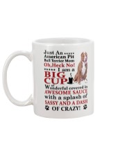 American Pit Bull Terrier Crazy Funny Mug back