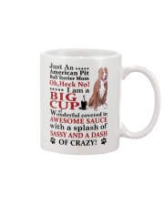 American Pit Bull Terrier Crazy Funny Mug front