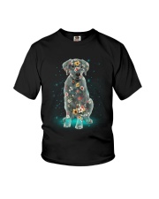 Phoebe - Labrador Retriever - 12418 Youth T-Shirt thumbnail