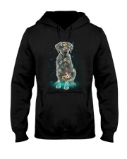 Phoebe - Labrador Retriever - 12418 Hooded Sweatshirt thumbnail