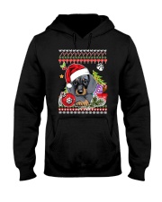 Dachshund Christmas Phoebe 018 Hooded Sweatshirt front