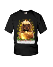 PHOEBE - Dachshund Ball Christmas - 2511 - 27 Youth T-Shirt thumbnail