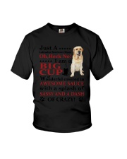 Labrador Retriever Crazy Funny Youth T-Shirt thumbnail