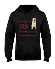 Labrador Retriever Crazy Funny Hooded Sweatshirt thumbnail