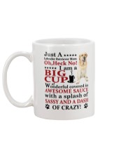Labrador Retriever Crazy Funny Mug back