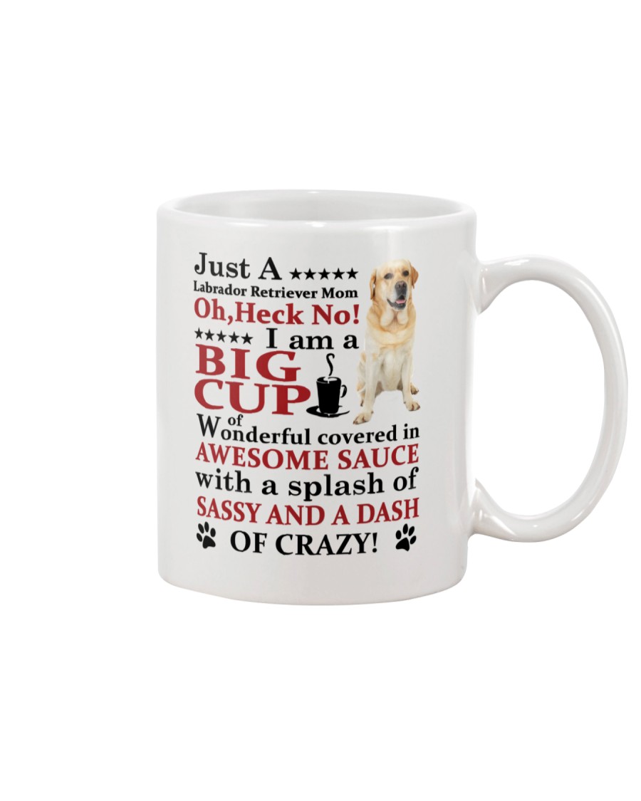 Labrador Retriever Crazy Funny Mug