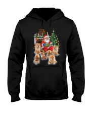 PHOEBE - Chow Chow - 1411 - A17 Hooded Sweatshirt front