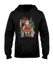 PHOEBE - LIMITED EDTION - 1011 - F14 Hooded Sweatshirt front