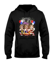USA Beagle Hooded Sweatshirt thumbnail