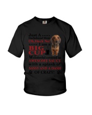 Dachshund Crazy Funny Youth T-Shirt thumbnail