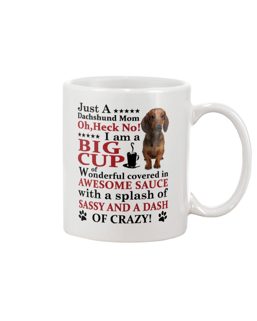 Dachshund Crazy Funny Mug