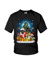 PHOEBE - English Mastiff - 1111 - B11 Youth T-Shirt thumbnail