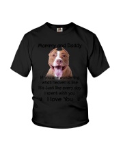 American Pit Bull Terrier Mommy And Daddy Youth T-Shirt thumbnail