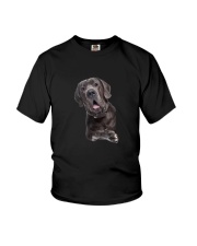 Hello Great Dane Youth T-Shirt thumbnail