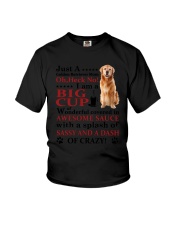 Golden Retriever Crazy Funny Youth T-Shirt thumbnail