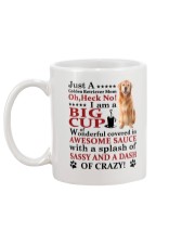 Golden Retriever Crazy Funny Mug back