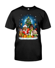 PHOEBE - Golden Retriever - 1111 - C8 Classic T-Shirt thumbnail