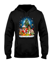 PHOEBE - Golden Retriever - 1111 - C8 Hooded Sweatshirt front