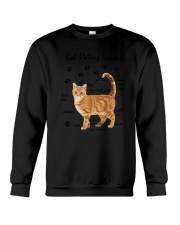 Cat Guide Crewneck Sweatshirt thumbnail