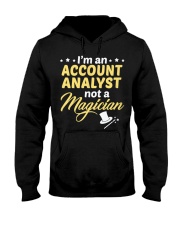 Account Analyst 2 Hooded Sweatshirt thumbnail