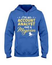 Account Analyst 2 Hooded Sweatshirt front