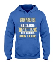 Account Payable Clerk 2 Hooded Sweatshirt front