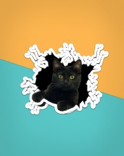 Black Cat Crack Sticker - 2 pack (Horizontal) aos-sticker-2-pack-horizontal-lifestyle-front-02